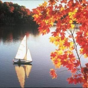 Meet your Posher, Reet